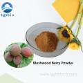 Hot Sale Natural Anti-cancer Blushwood Berry Seed Extract